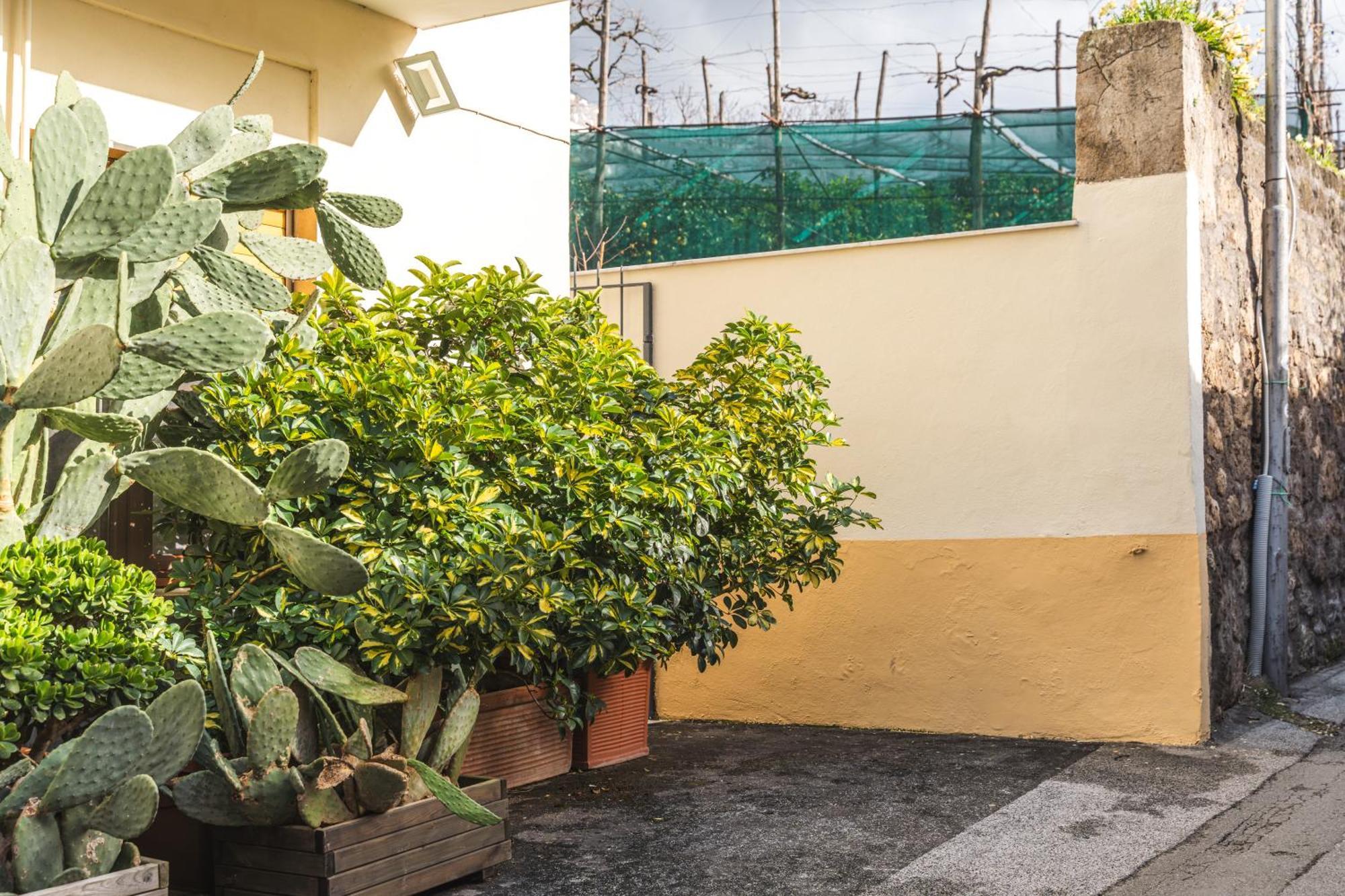 Sorrento Central Flat Dış mekan fotoğraf